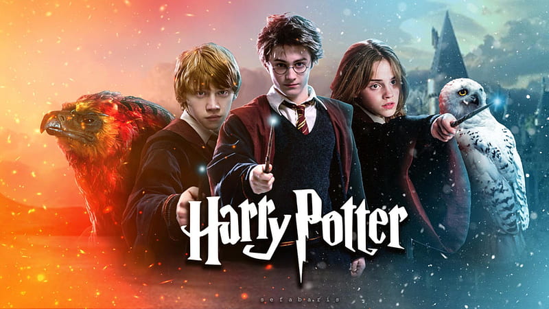 Die größten Rätsel der Harry Potter Welt