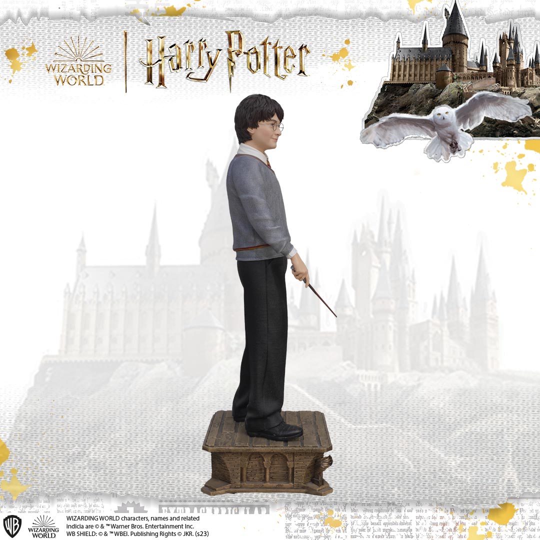 HARRY POTTER