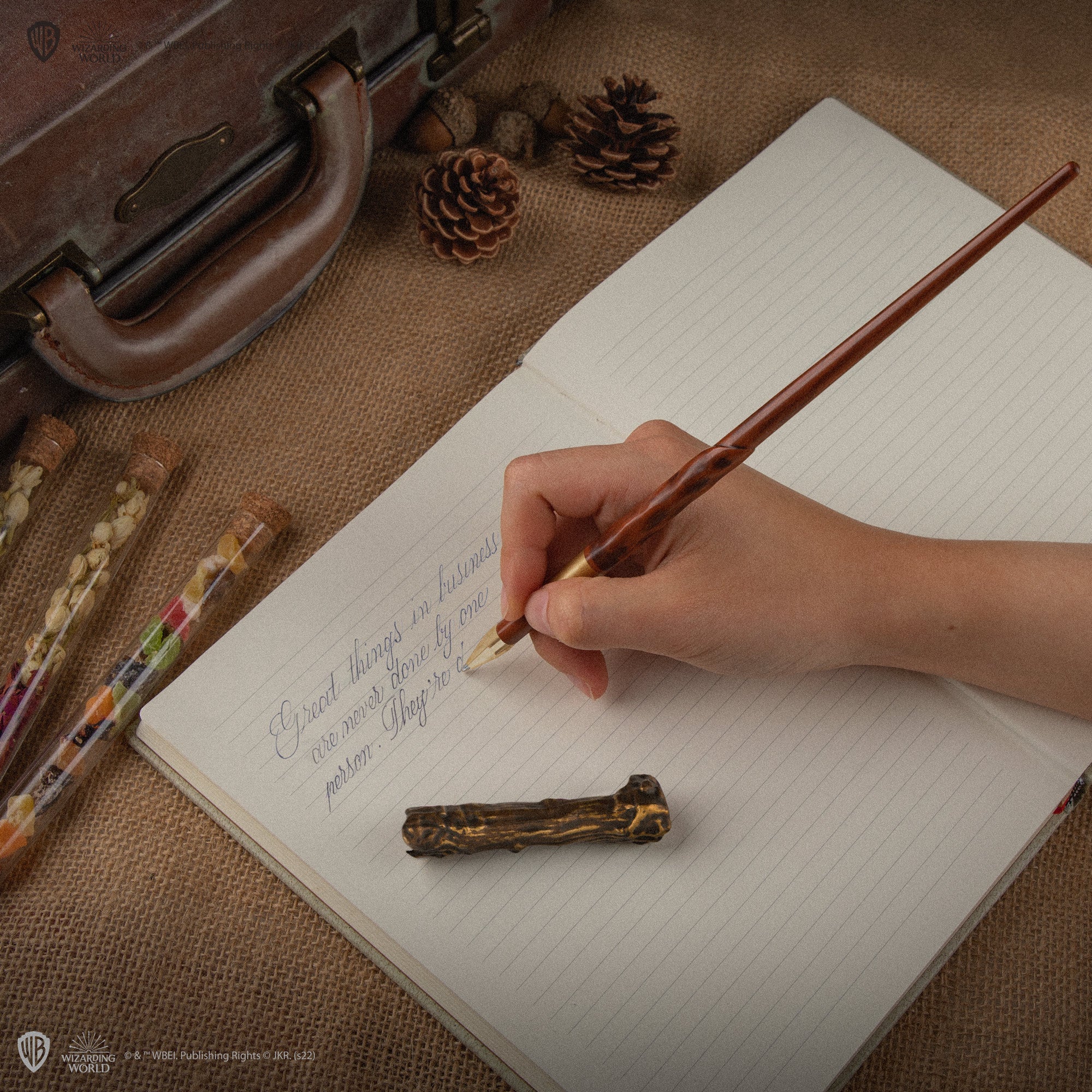 Harry Potter Zauberstab-Stift mit Ständer & Lentikularem Lesezeichen