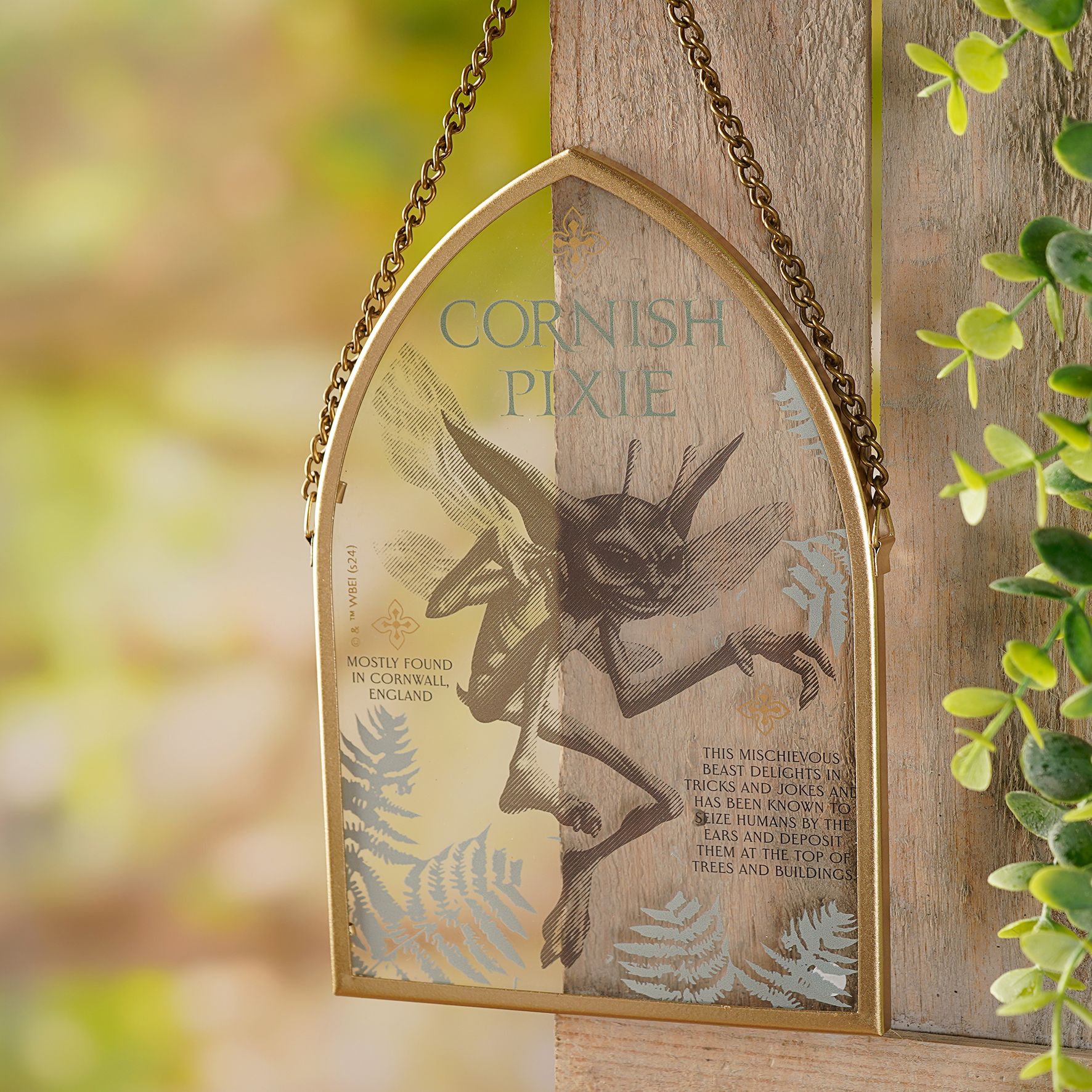 Harry Potter - Kräuterkunde Gedenktafel - Kornische Elfe