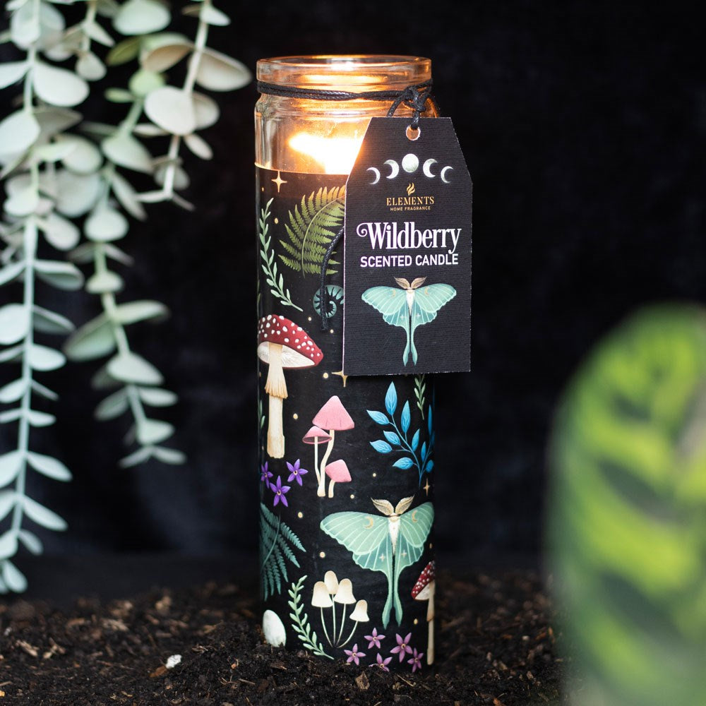 „Dark Forest Wildberry“ - Kerze im Röhrchen
