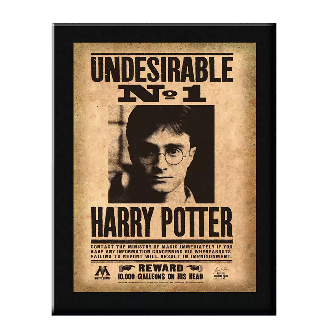Harry Potter Holzposter |  Undesirable No.1 Plaque, Belohnung, Wandkunst,  Filmrequisiten,