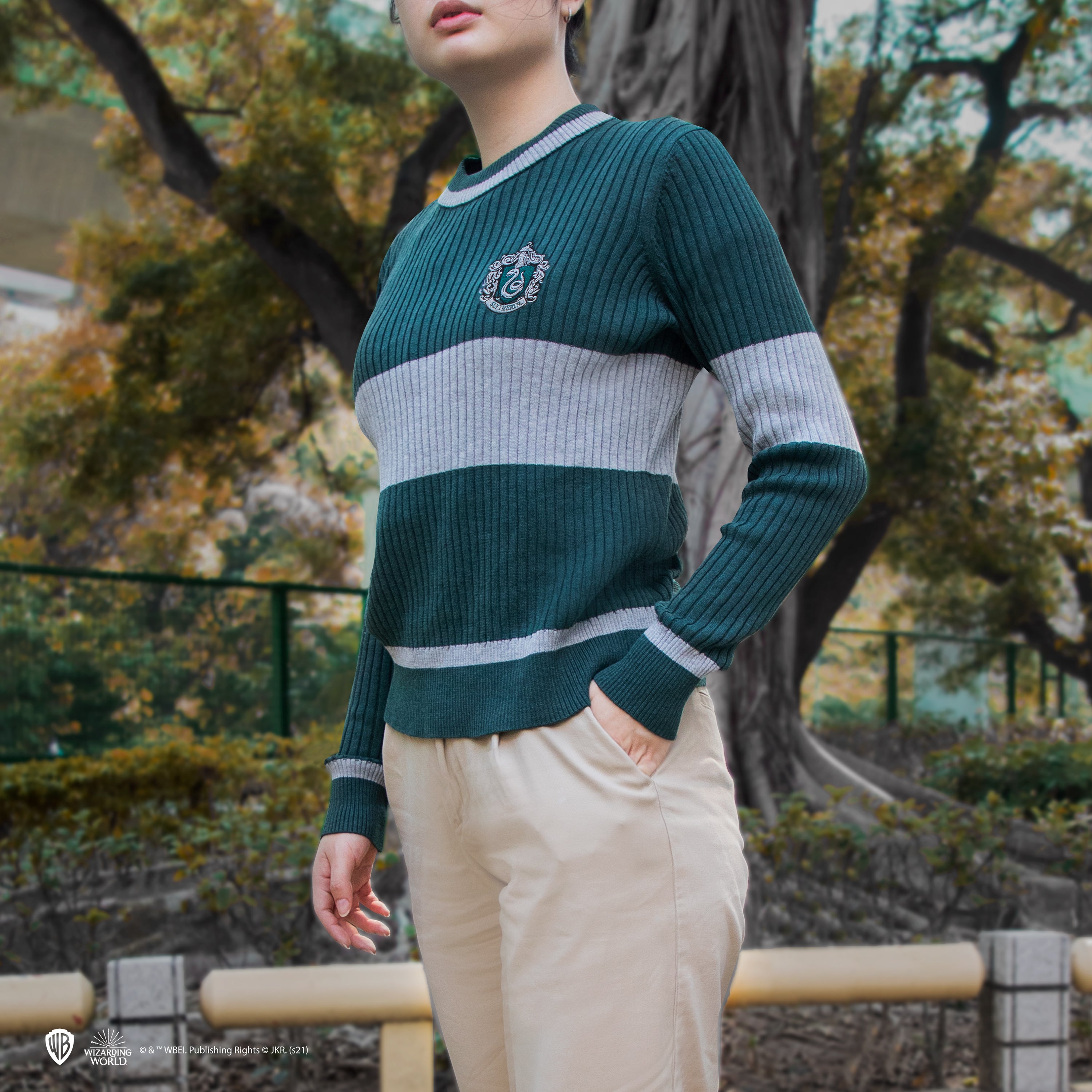 Harry Potter Slytherin Quidditch Pullover