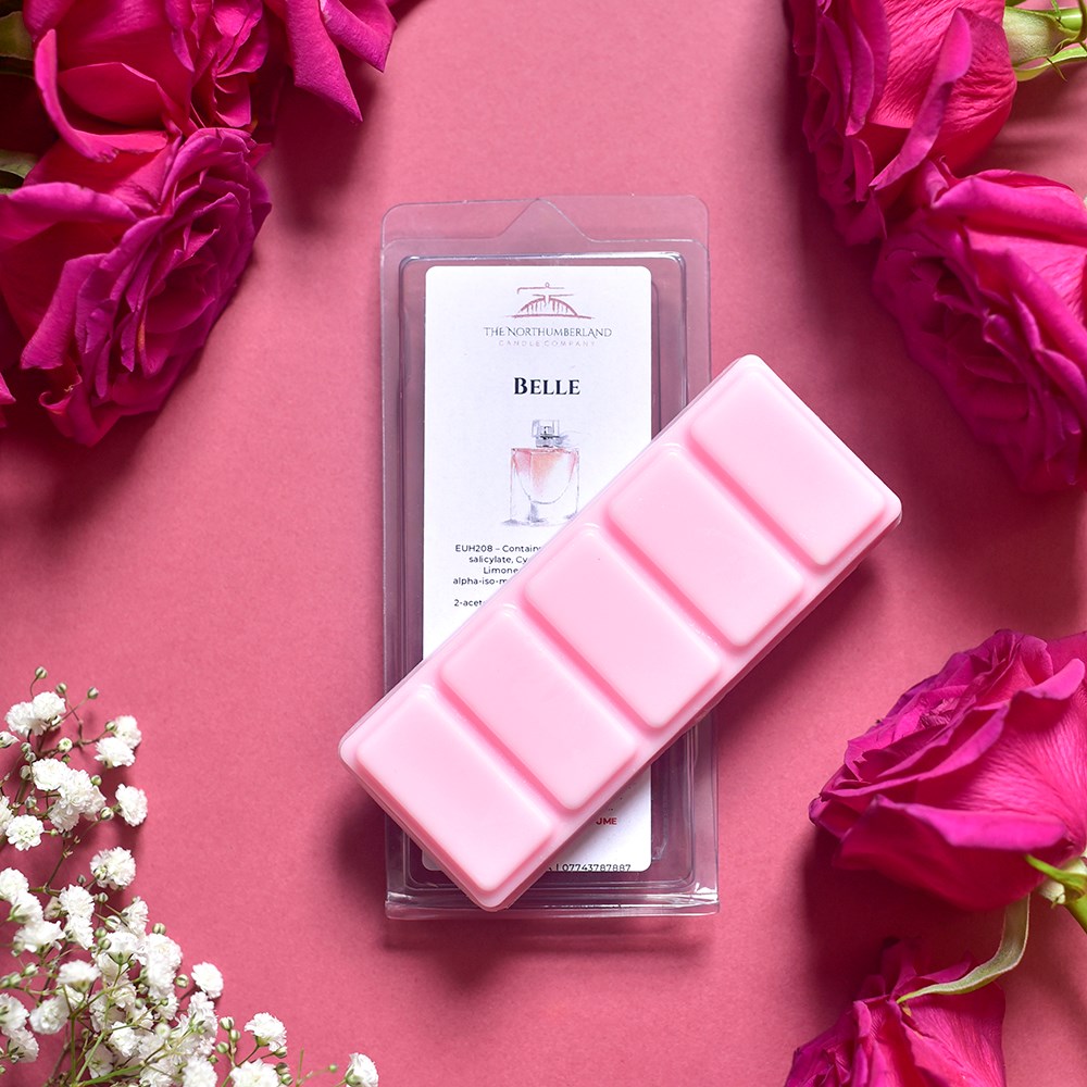 Verschiedene 50g Melt-Snap-Bars