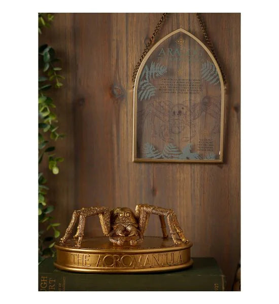 Harry Potter - Kräuterkunde Gedenktafel - Aragog