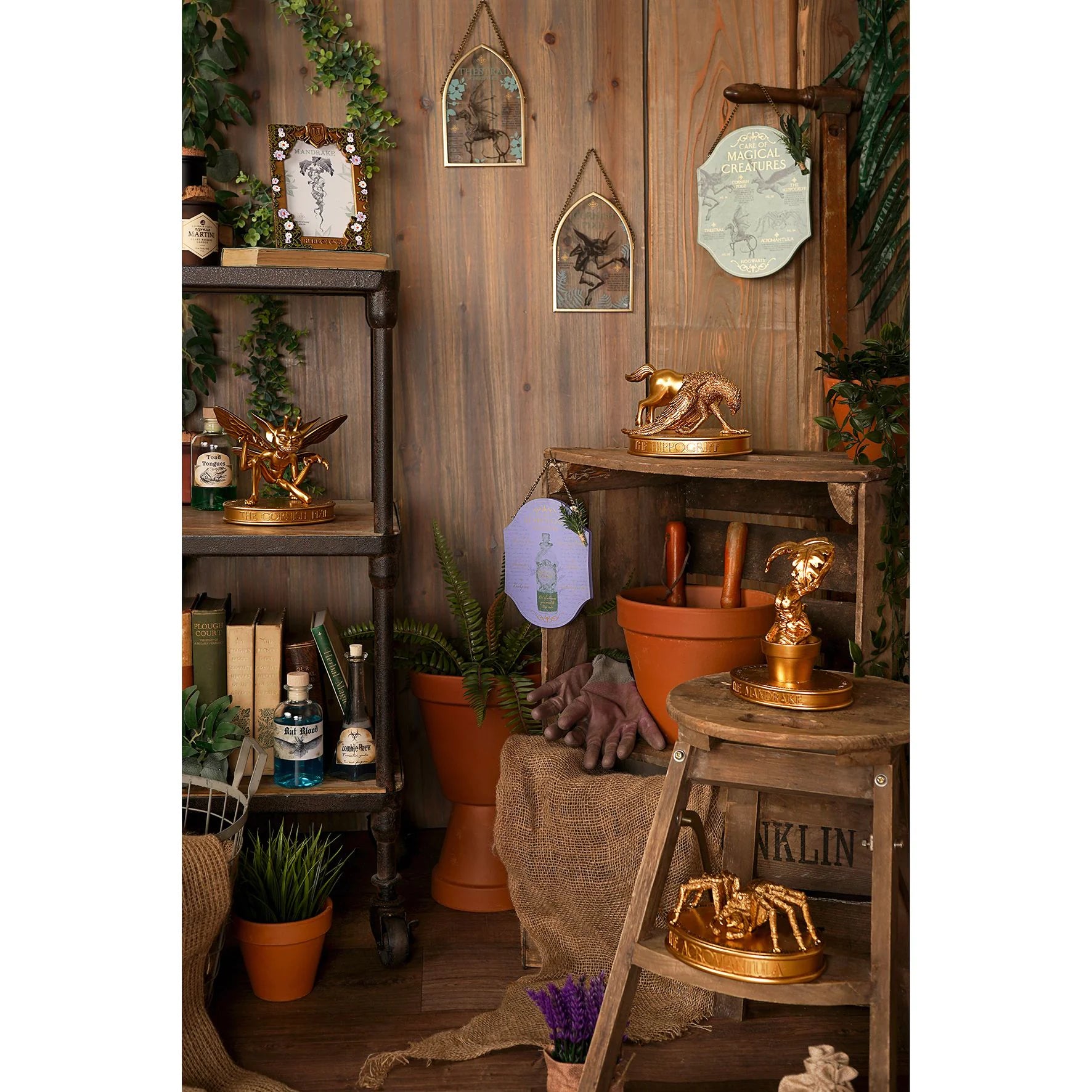 Harry Potter - Kräuterkunde Gedenktafel - Kornische Elfe