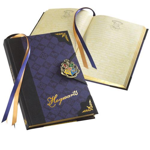 Harry Potter Tagebuch Hogwarts